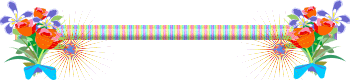 Bar13.gif