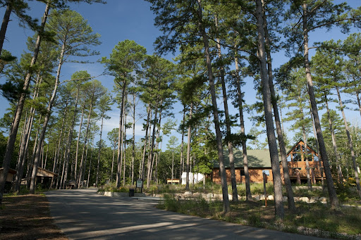 Twin Pines Conservation Education Center in Missouri