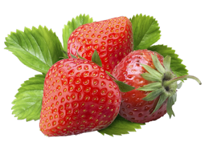 3_fruits_02.png