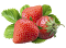 3_fruits_02.png