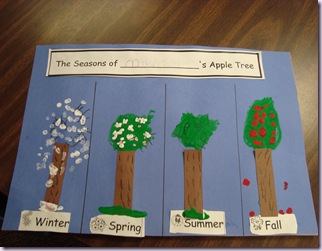 Seasons of An Apple Tree 002