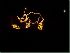 Lights at the Zoo (15)