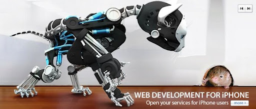 Web development