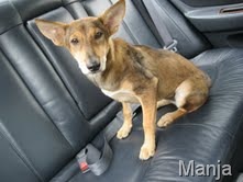 [manja3[8].jpg]