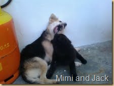 mimi and hitam