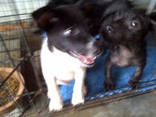 [rachel 5[2].jpg]
