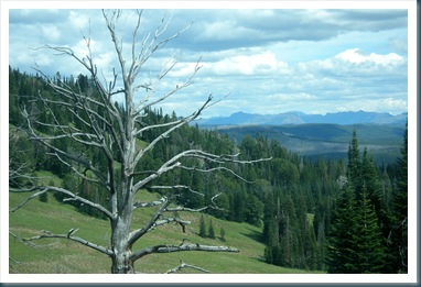 WestTrip,Week3 424