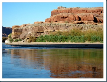 WestTrip,Week5 440