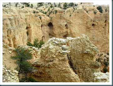 WestTrip,Week6 125