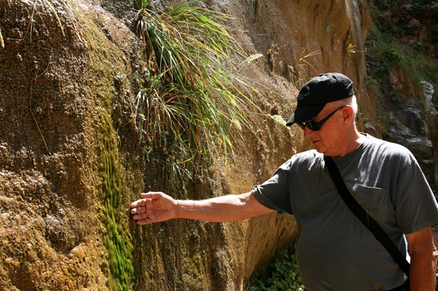 [WestTripWeek65542.jpg]