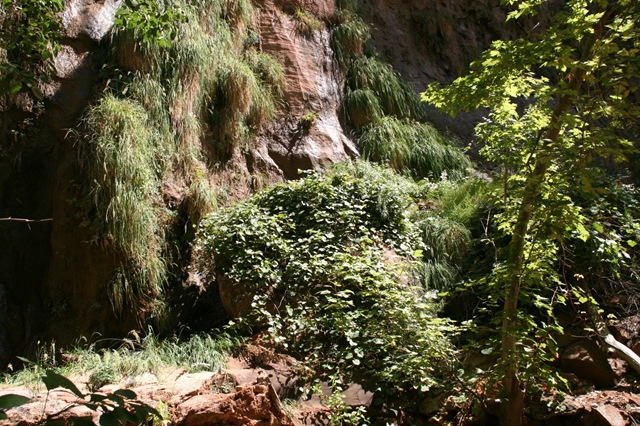 [WestTripWeek65482.jpg]