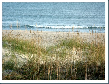 South,Week1,09 202