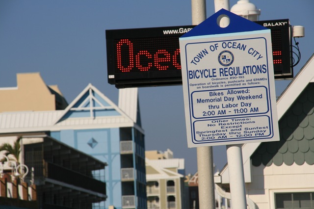 [AssateagueIsland10101062.jpg]