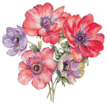 Blumen Gif Geburtstag Kostenlos - geburtstag - PicMix : Blumen gifs animationen und lustige.gif grafiken im kostenlosen download.