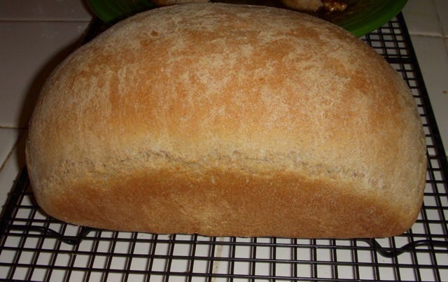 [1109 Whole Wheat Bread[2].jpg]