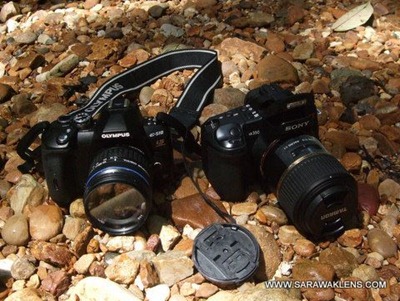 Sony_and_Olympus_dslr
