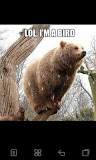 Funny Animal Pics