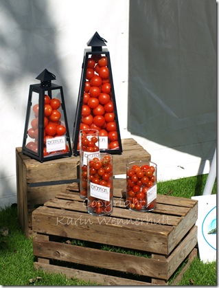 tomatinstallation vtnm