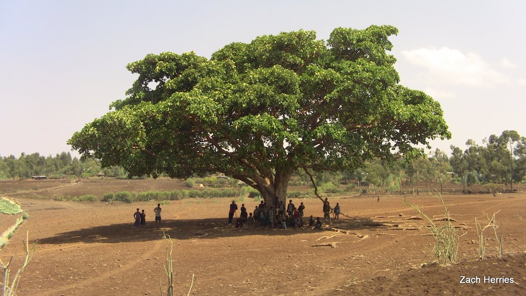 Blind Promises Complete Ethiopia Travel Log