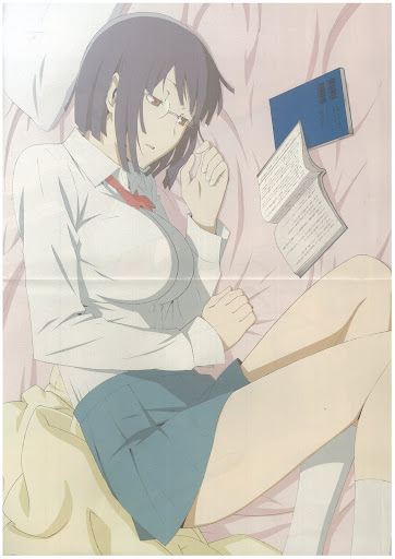 animage%202010-08%20durarara%20poster%2004.jpg
