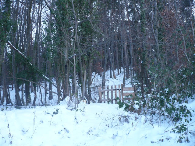 http://lh3.ggpht.com/_FWzJReDRZks/TPqZcxKBceI/AAAAAAAAB00/fiL87Nhv63E/s640/P1100467%20%28Large%29.JPG