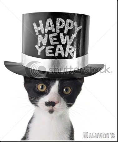 stock-photo-funny-kitten-wearing-a-happy-new-year-hat-41118259
