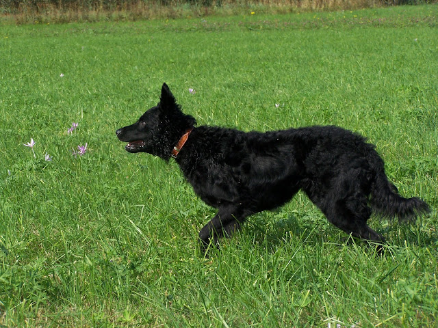 100_8460.jpg