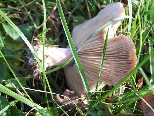 100_8713.jpg