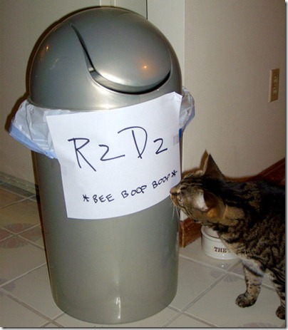 i-got-my-halloween-costume-done-kitteh-apruved-23388-1252271344-90 i-got-my-halloween-costume-done-kitteh-apruved-23388-1252271344-90
