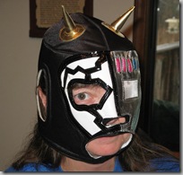 Wrestling mask