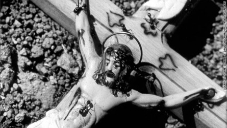 [Ants on a crucifix[4].jpg]