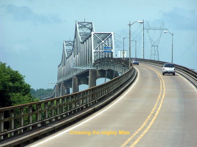 [PICT397811.jpg]