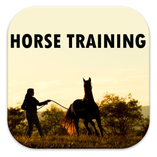 Horse Training