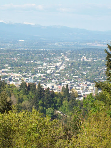 Sandy Boulevard from Council Crest