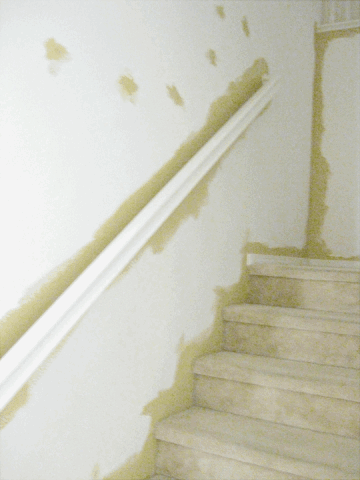 [staircase-before[4].gif]