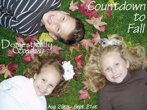 [countdown to fall[2].jpg]