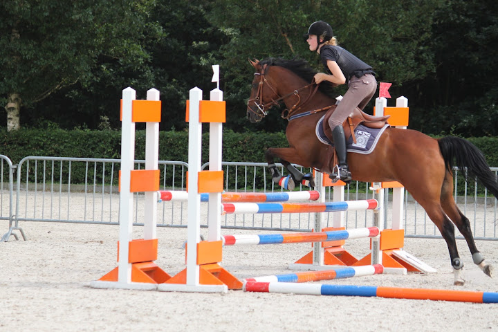 Springles @ KNHS instructieweek 8!! • Bokt.nl