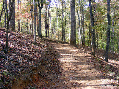Homestead Trail Path