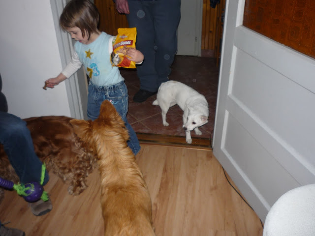 Camilla%20037.jpg