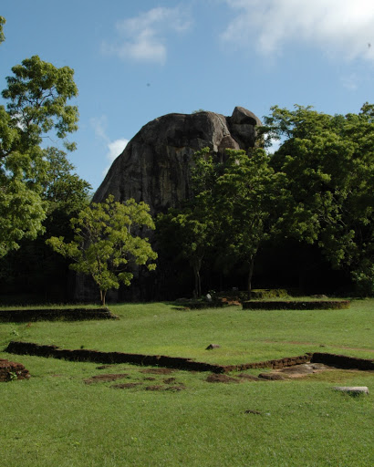 DSC_2336.JPG
