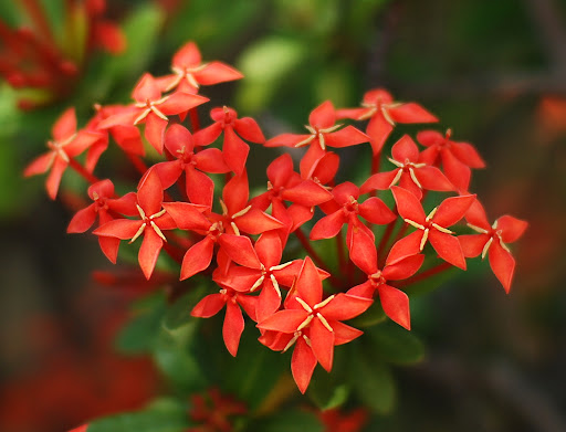 Visit Us @ www.MumbaiHangOut.Org