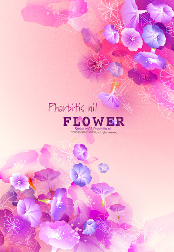 Pharbitis.Nil.Flower.Background-aiovector.com.jpg