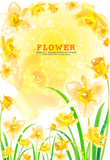 Narcissus.Flower.Background-aiovector.com.jpg