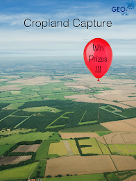 Cropland Capture poster 6