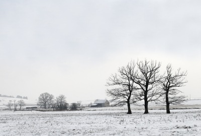 [træer og sne[3].jpg]
