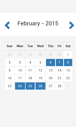 Discrete Period Calendar