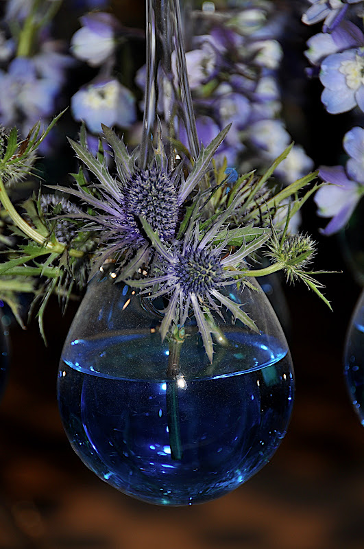 teasel in bottle vase with blue water