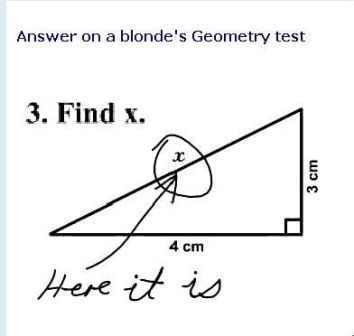 [dumb-blonde-geometry-test[6].jpg]