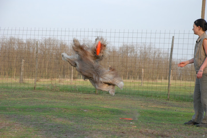 DSC_0083.JPG