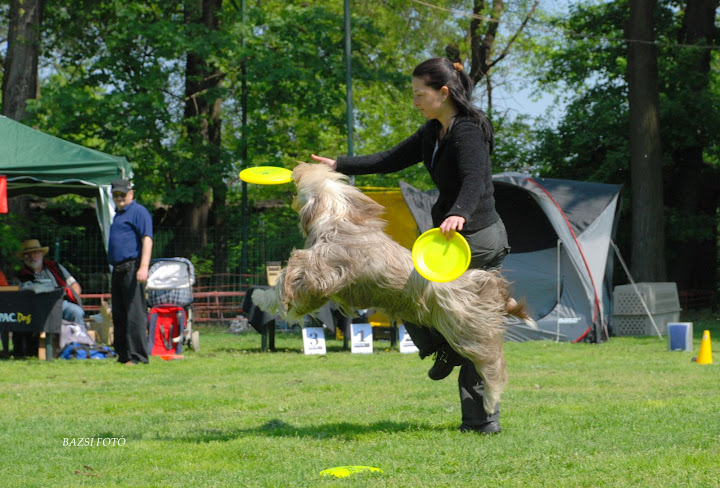 DSC_0476.JPG